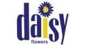 daisy flower london ontario logo